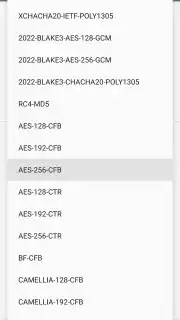Shadowsocks captura 22