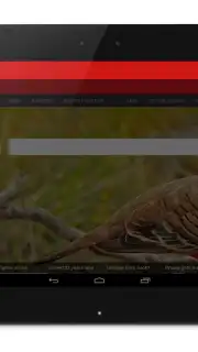 Anonymous Browser captura 4