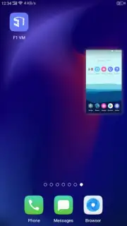 F1 VM captura 7