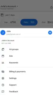 Google Ads captura 1