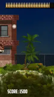 Mexico Rex captura 5