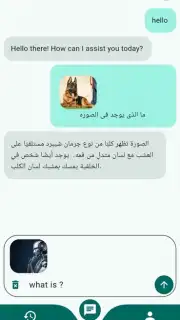Chat Mate captura 7