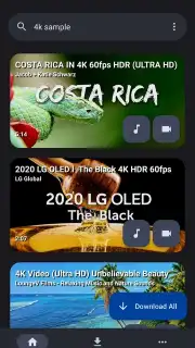 YTDLnis captura 1