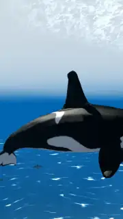 Orca Simulator captura 1