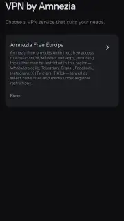 Amnezia VPN captura 14