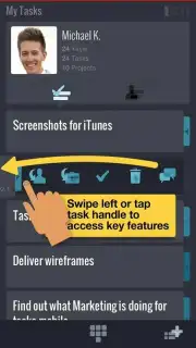 Mindjet Tasks captura 4