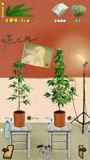 Weed Firm: RePlanted captura 6
