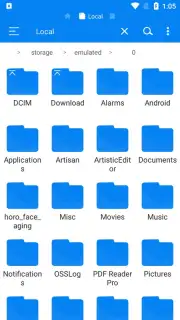 RS File Manager captura 6