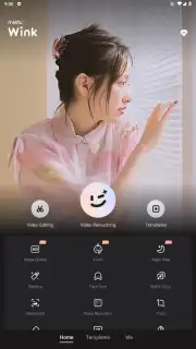 Wink captura 18