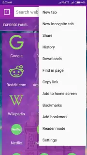 usa web browser captura 2