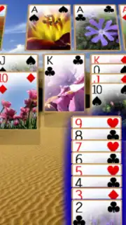 Solitaire 3D captura 5