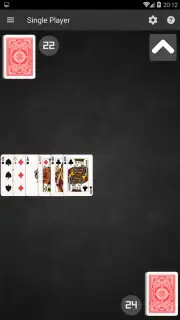 Salami Card Game captura 3