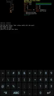 Dungeon Crawl: Stone Soup captura 6
