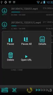 VA High Speed Downloader captura 3