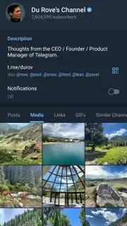 Telegram (Google Play version) captura 5