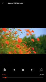 Video Player captura 4