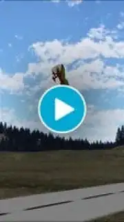 PicaSim Free captura 1