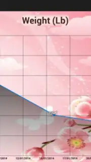 Women’s diary captura 15