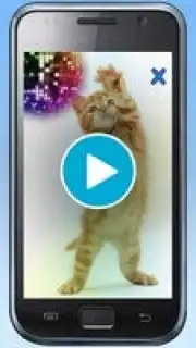 Talking, Dancing Cat. captura 1