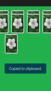 Spider Solitaire Game captura 5