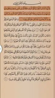 Quran Karim captura 3