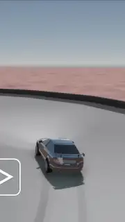 Skid Rally captura 2