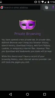 Adblock Browser captura 5