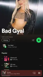 Spotify captura 5