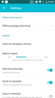 Youdao Translate captura 10