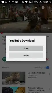YouTube Download captura 2