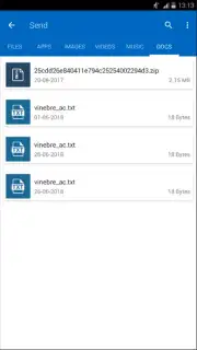 SHARE it File Transfer captura 5