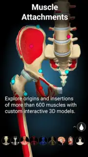 3D Anatomy Learning captura 2