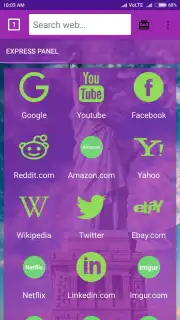 usa web browser captura 4