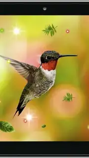 Colibri Spring 3D LWP captura 4
