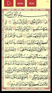 Yasin Suresi captura 5