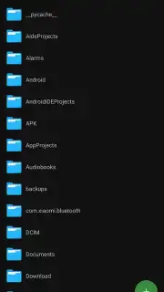 SV File Manager captura 2