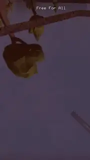GoreZone captura 5