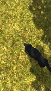 Wild Life: Wolf Clan captura 1
