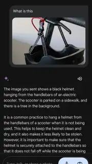 Google Gemini captura 17