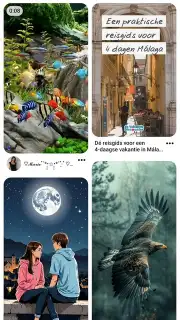 Pinterest captura 1