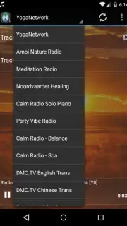 The Reiki Channel captura 2