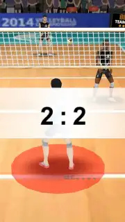 Volleyball 3D captura 3