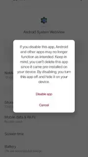Android System WebView captura 13