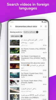 Lingvotube captura 3