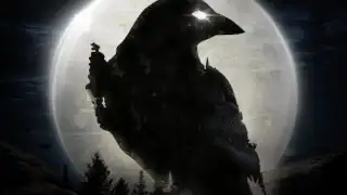 NIGHT CROWS