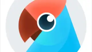 Youdao Translate