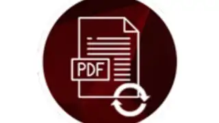 PDF Conversion Tool