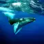 The Humpback Whales